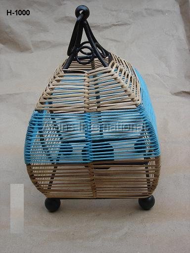 C.Std.Iron-1.cane.jpg