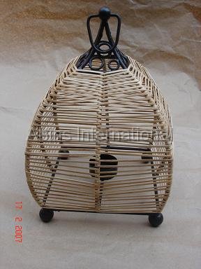 C.Std.Iron-2.cane.jpg