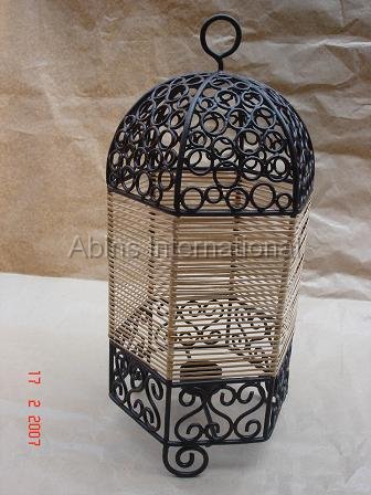 C.Std.Iron-5.cane.jpg